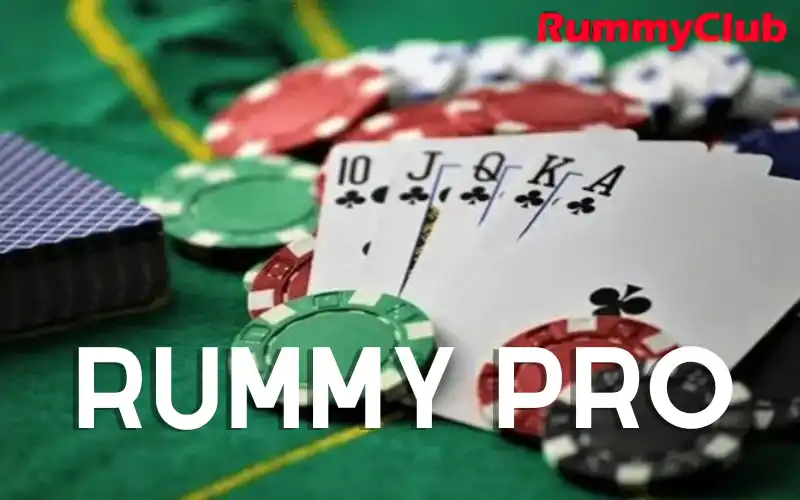 rummy pro